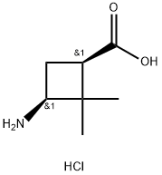 cis-3-AMino-2,2-diMethylcyclobutanecarboxylic acid hydrochloride 结构式