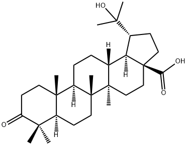 20-HYDROXY-3-OXO-28-LUPANOIC ACID 结构式