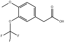 4-甲氧基-3-(三氟甲氧基)苯乙酸 结构式