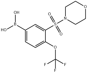 (3-(吗啉代磺酰)-4-(三氟甲氧基)苯基)硼酸 结构式