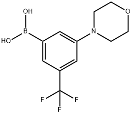 3-吗啉-5-三氟甲苯硼酸 结构式