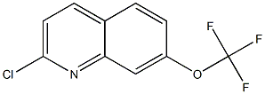 2-氯-7-(三氟甲氧基)喹啉 结构式