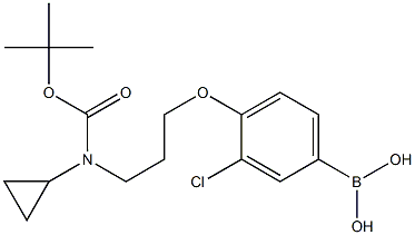 (4-(3-((叔-丁氧基羰基)(环丙基)氨基)丙氧基)-3-氯苯基)硼酸 结构式