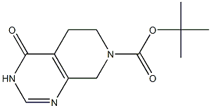 4-oxo-4,5,6,8-tetrahydro-3H-pyrido[3,4-d]pyriMidine-7-carboxylic acid tert-butyl ester 结构式