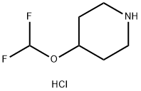 4-(二氟甲氧基)哌啶盐酸 结构式