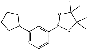2-cyclopentyl-4-(4,4,5,5-tetraMethyl-1,3,2-dioxaborolan-2-yl)pyridine 结构式