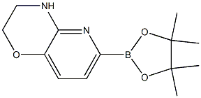 6-(4,4,5,5-tetraMethyl-1,3,2-dioxaborolan-2-yl)-3,4-dihydro-2H-pyrido[3,2-b][1,4]oxazine 结构式