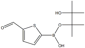 5-甲酰基噻吩-2-硼酸频哪醇酯 结构式