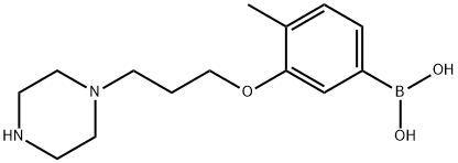 4-甲基-3-(3-(哌嗪-1-基)丙氧基)苯基硼酸 结构式