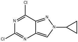 5,7-DICHLORO-2-CYCLOPROPYLPYRAZOLO[4,3-D]PYRIMIDINE 结构式