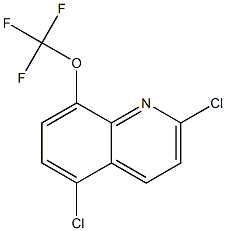 2,5-二氯-8-三氟甲氧基喹啉 结构式