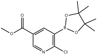6-氯-5-(4,4,5,5-四甲基-1,3,2-二氧杂环戊硼烷-2-基)烟酸甲酯 结构式
