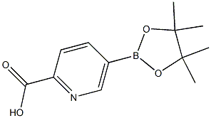 5-(4,4,5,5-四甲基-[1,3,2]二氧杂环戊硼烷-2-基)-吡啶-2-羧酸 结构式