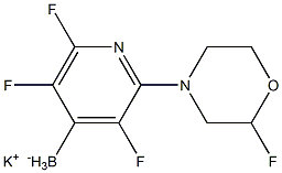 2-吗啉-3-氟-4-氟硼酸钾吡啶 结构式