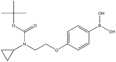 4-(2-(叔-丁氧基羰基(环丙基)氨基)乙氧基)苯基硼酸 结构式