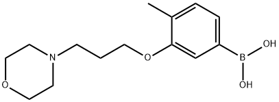 4-甲基-3-(3-吗啉代丙氧基)苯基硼酸 结构式