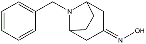 8-benzyl-3-hydroxyiMino-8-AZA-BICYCLO[3.2.1]OCTANE 结构式