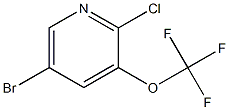 5-溴-2-氯-3-(三氟甲氧基)吡啶 结构式