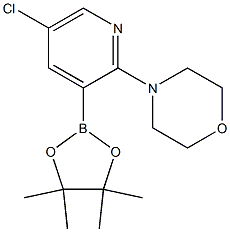 4-(5-氯-3-(4,4,5,5-四甲基-1,3,2-二氧杂环戊硼烷-2-基)吡啶-2-基)吗啉 结构式