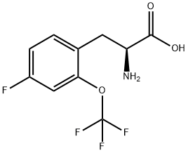 4-氟-2-三氟甲氧基-DL-苯基丙氨酸 结构式