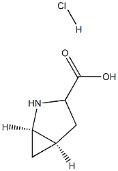 (1R,5R)-2-氮杂双环[3.1.0]己烷-3-羧酸盐酸盐 结构式