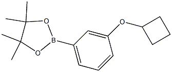 2-(3-Cyclobutoxy-phenyl)-4,4,5,5-tetraMethyl-[1,3,2]dioxaborolane 结构式