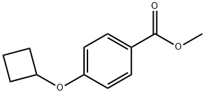 4-Cyclobutoxy-benzoic acid Methyl ester 结构式
