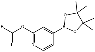 2-(二氟甲氧基)-4-(4,4,5,5-)四甲基-1,3,2-二氧杂硼杂环戊烷-2-基)吡啶 结构式