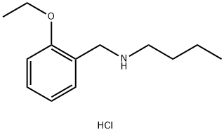 butyl[(2-ethoxyphenyl)methyl]amine hydrochloride 结构式