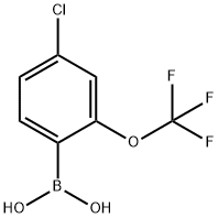 (4-氯-2-(三氟甲氧基)苯基)硼酸 结构式