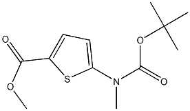 5-[(叔丁氧羰基)甲氨基]噻吩-2-羧酸甲酯 结构式