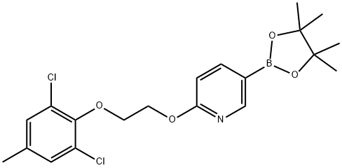 2-(2-(2,6-二氯-4-甲基苯氧基)乙氧基)-5-(4,4,5,5-四甲基-1,3,2-二噁硼戊环-2-基)吡啶 结构式