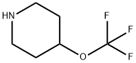 4-(三氟甲氧基)哌啶 结构式