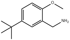 (5-Tert-butyl-2-methoxyphenyl)methanamine 结构式