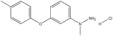 [3-(4-methylphenoxy)phenyl]methylhydrazine:hydrochloride 结构式