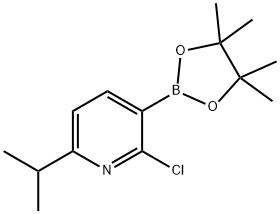 2-Chloro-6-isopropylpyridine-3-boronic acid pinacol ester 结构式