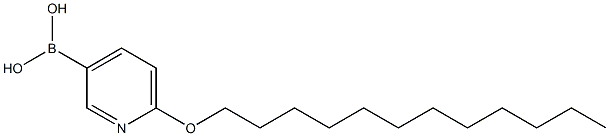 (6-(dodecyloxy)pyridin-3-yl)boronic acid 结构式