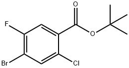 4-溴-2-氯-5-氟苯甲酸叔丁酯 结构式
