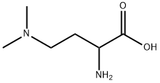 2-氨基-4-(二甲氨基)丁酸 结构式