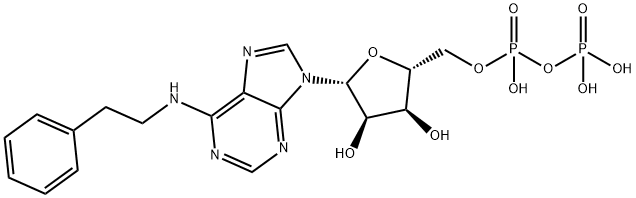 Adenosine 5'-(trihydrogen diphosphate), N-(2-phenylethyl)- 结构式