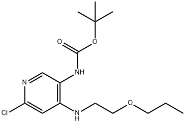 tert-butyl (6-chloro-4-((2-propoxyethyl)amino)pyridin-3-yl)carbamate 结构式