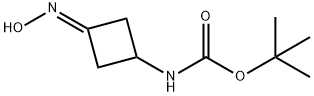 (3-Hydroxyimino-cyclobutyl)-carbamic acid tert-butyl ester 结构式