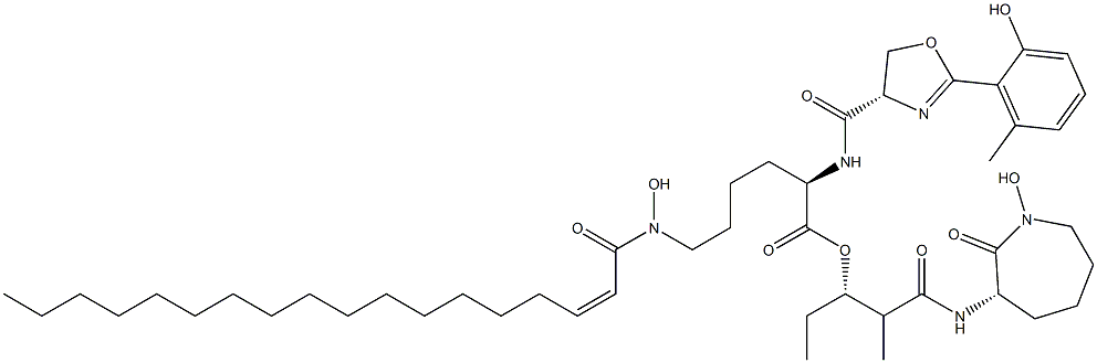 化合物 T33537 结构式