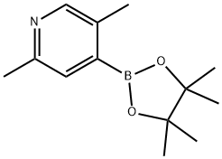 2,5-Dimethyl-4-(4,4,5,5-tetramethyl-1,3,2-dioxaborolan-2-yl)-pyridine 结构式