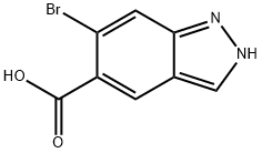 6-溴-1H-吲唑-5-甲酸 结构式