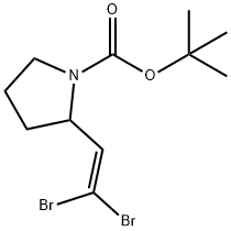 TERT-BUTYL 2-(2,2-DIBROMOVINYL)PYRROLIDINE-1-CARBOXYLATE