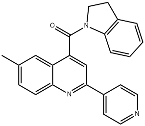 2,3-dihydroindol-1-yl-(6-methyl-2-pyridin-4-ylquinolin-4-yl)methanone 结构式