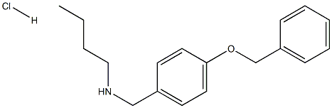 {[4-(benzyloxy)phenyl]methyl}(butyl)amine hydrochloride 结构式