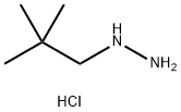 (2,2-二甲基丙基)肼二盐酸盐 结构式