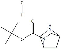 2,5-二氮杂双环[2.2.1]庚烷-2-羧酸叔丁酯盐酸盐 结构式